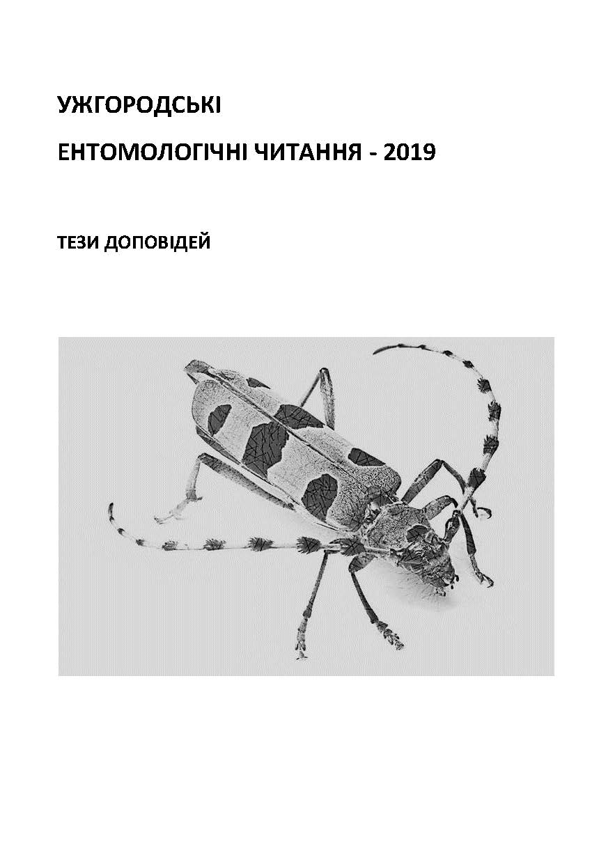 Collection logo